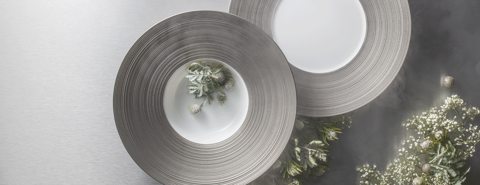 Hémisphère Platine