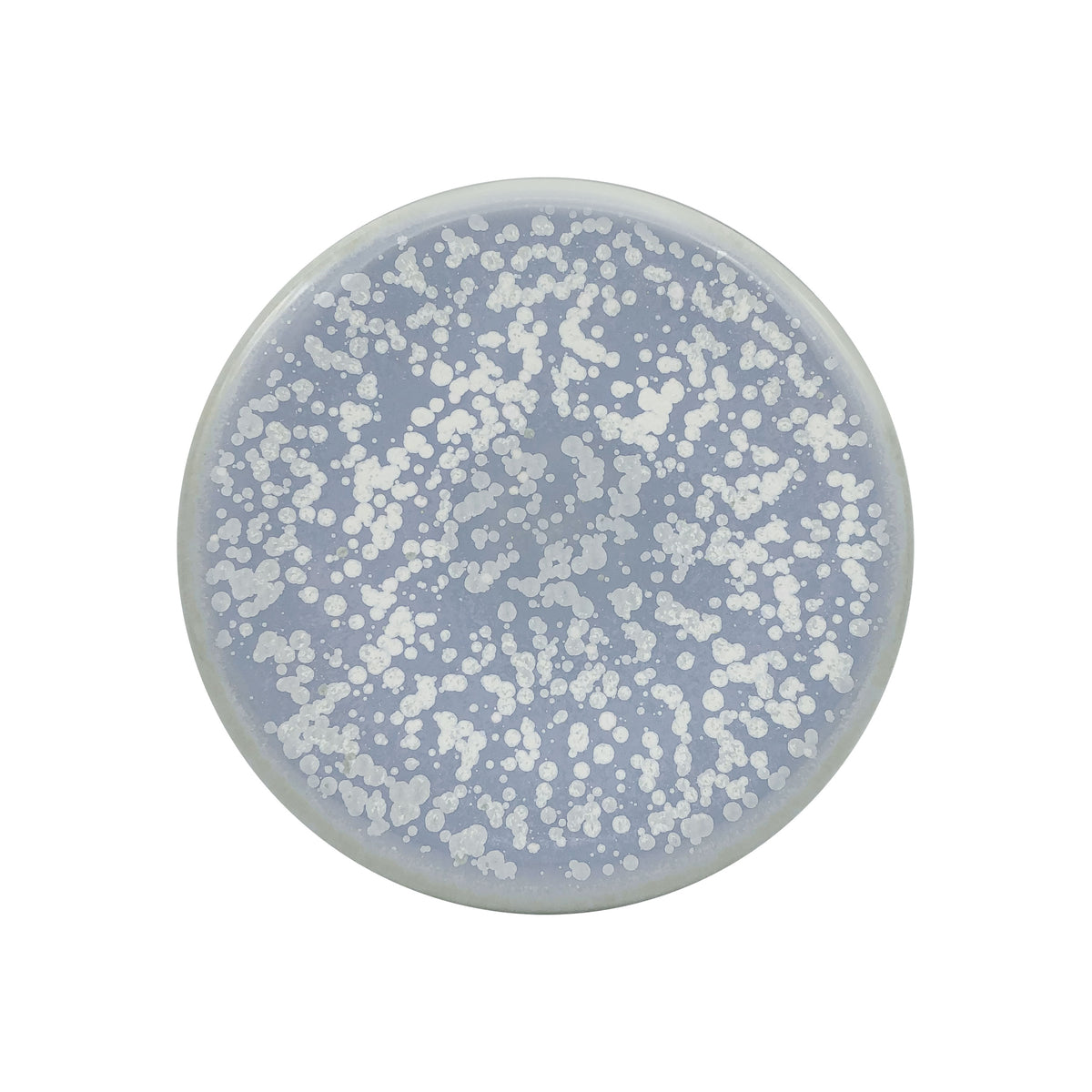 SONG Océan - Assiette plate mini Bubble
