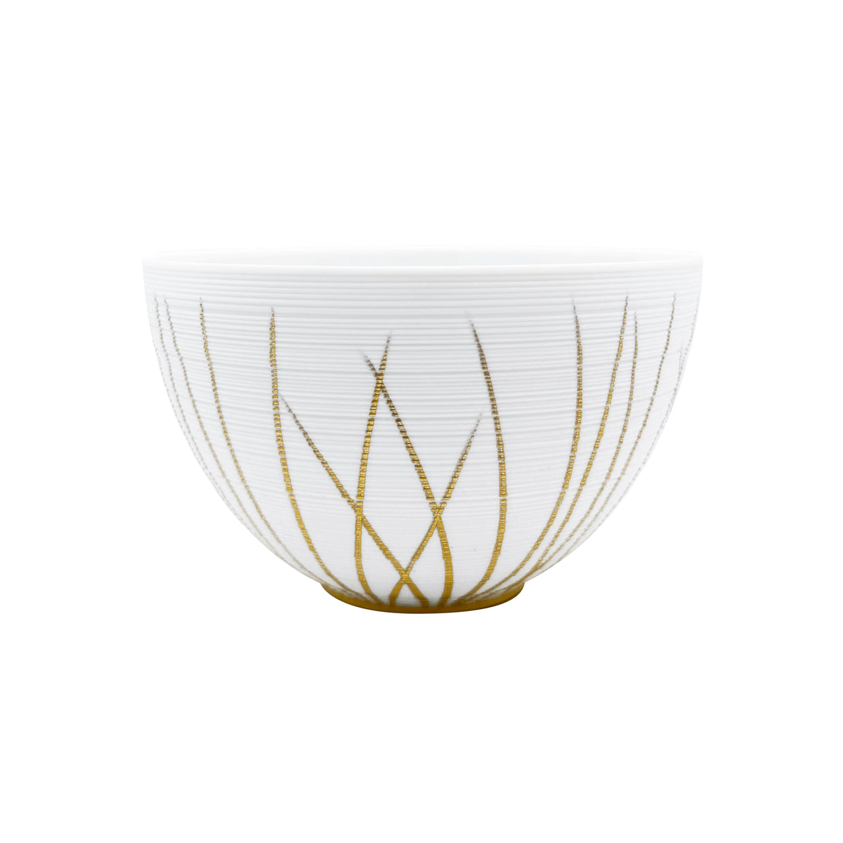 HEMISPHERE Toundra Hiver - Bol Extra