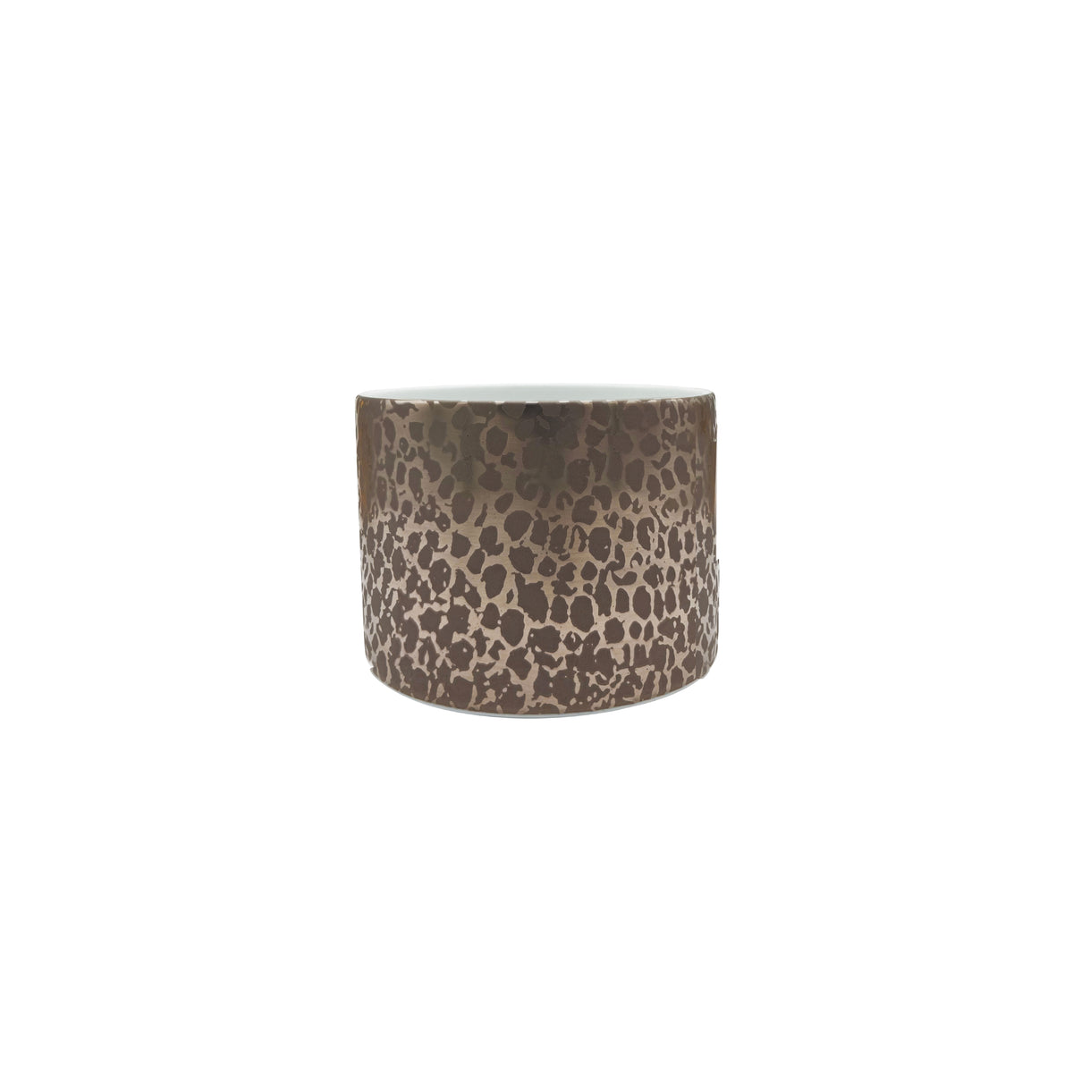 BIG BANG Bronze - Plat Individuel PM