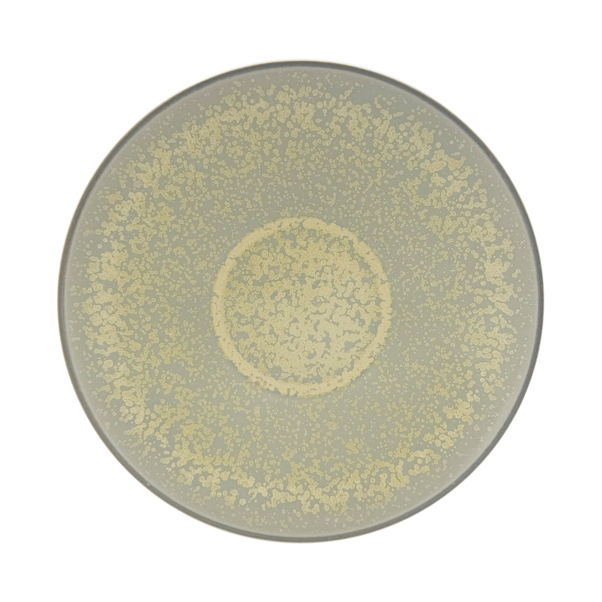 SONG Siena - 29 cm plate 11, Satisfaction