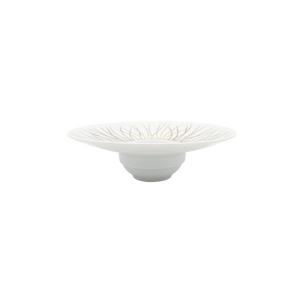 HEMISPHERE Tundra Winter - Soup plate with wing PM