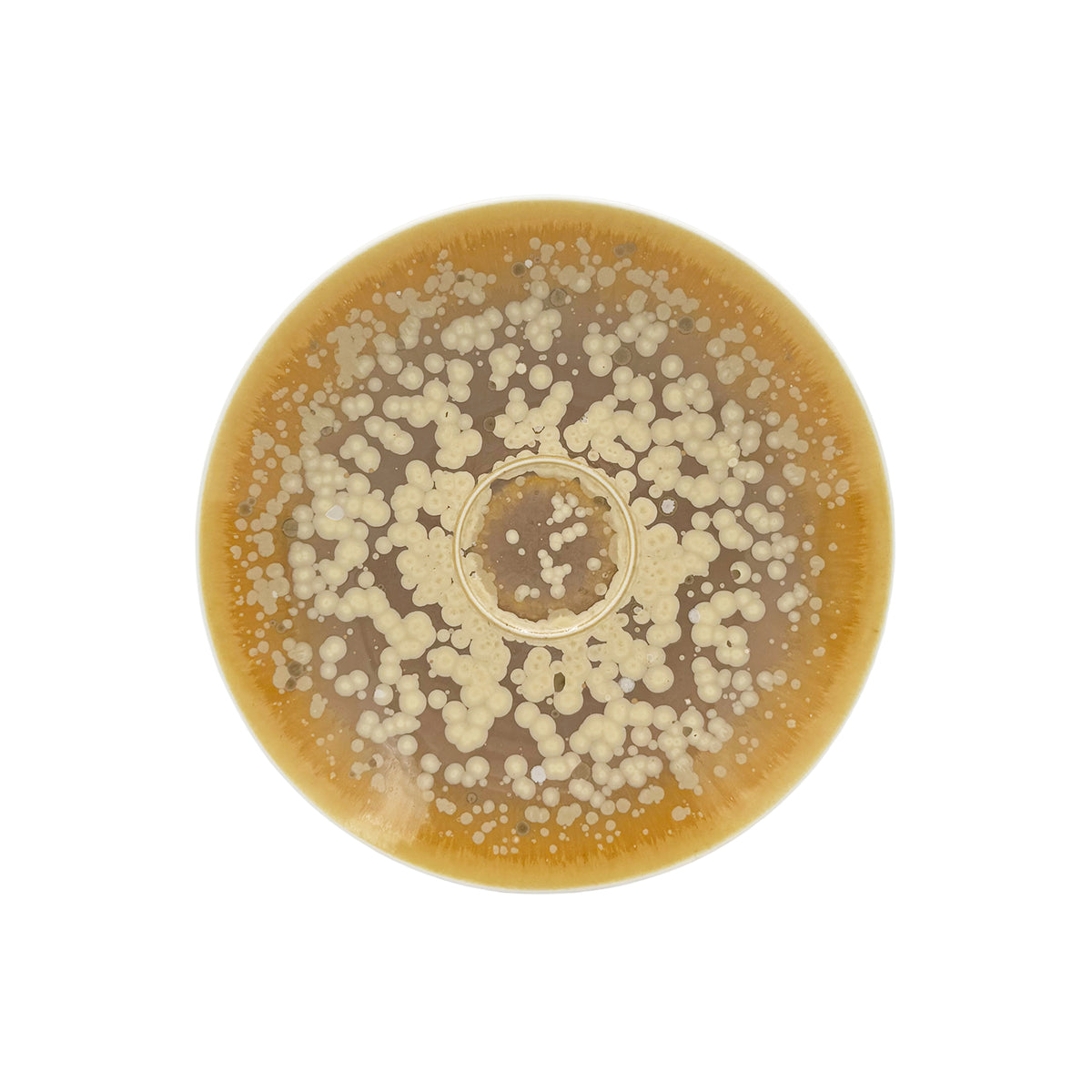 SONG Ochre - Teacup &amp; Saucer